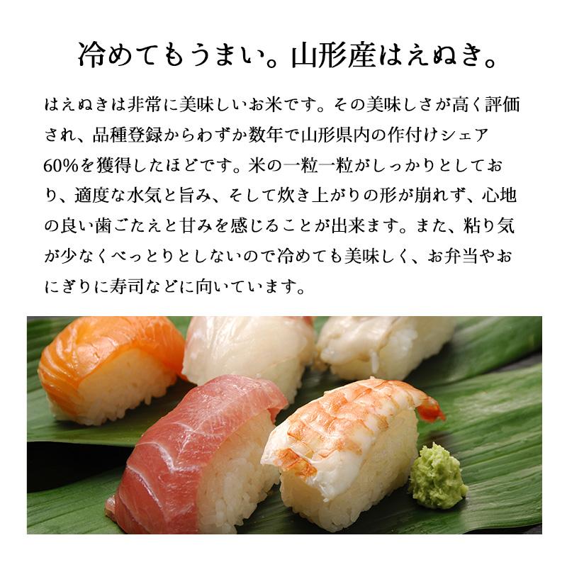 米 10kg 山形産はえぬき お米 10キロ 令和5年産 精米 白米 5kgx2袋 送料無料｜echigo-inahoya｜04