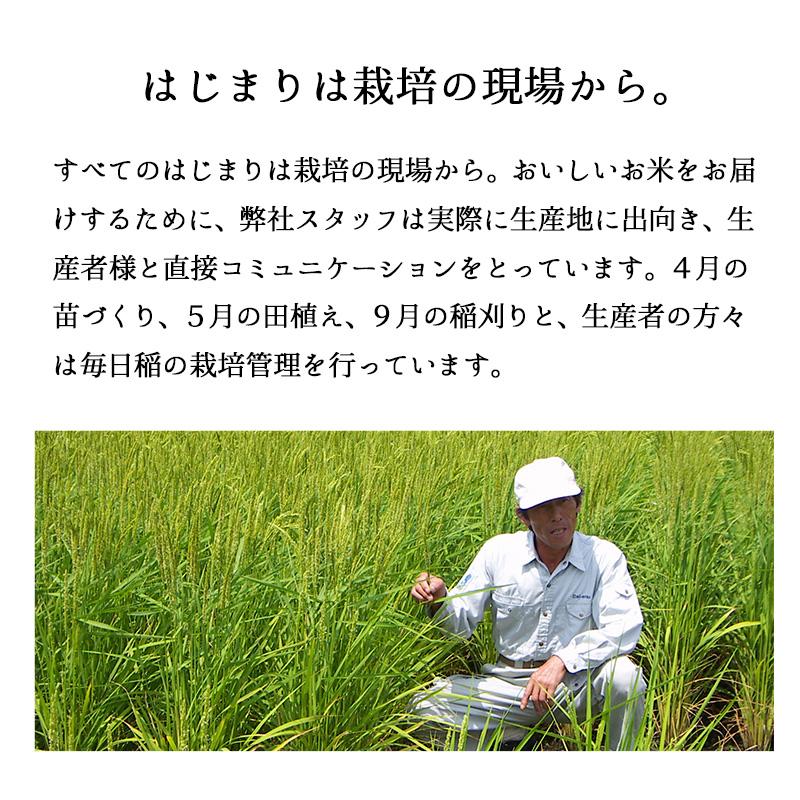 米 10kg 山形産はえぬき お米 10キロ 令和5年産 精米 白米 5kgx2袋 送料無料｜echigo-inahoya｜11