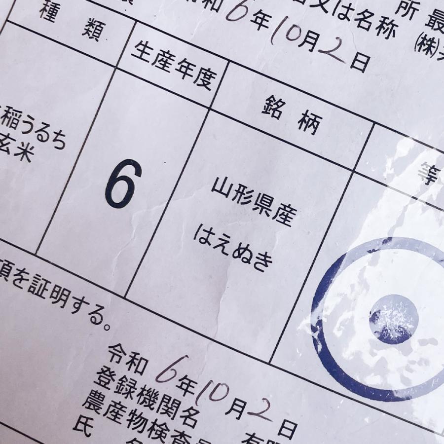 はえぬき 米 10kg 山形産はえぬき お米 10キロ 令和6年産 精米 はえぬき 米 10kg 山形産はえぬき お米 10キロ 令和6年産 精米