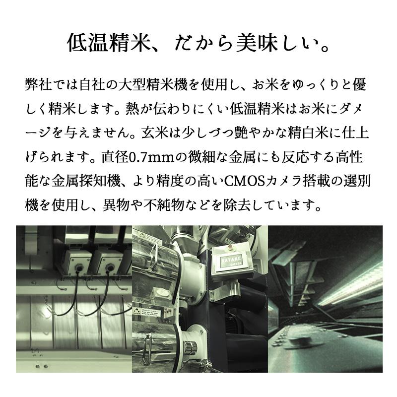 米 10kg 山形産はえぬき お米 10キロ 令和5年産 精米 白米 5kgx2袋 送料無料｜echigo-inahoya｜13