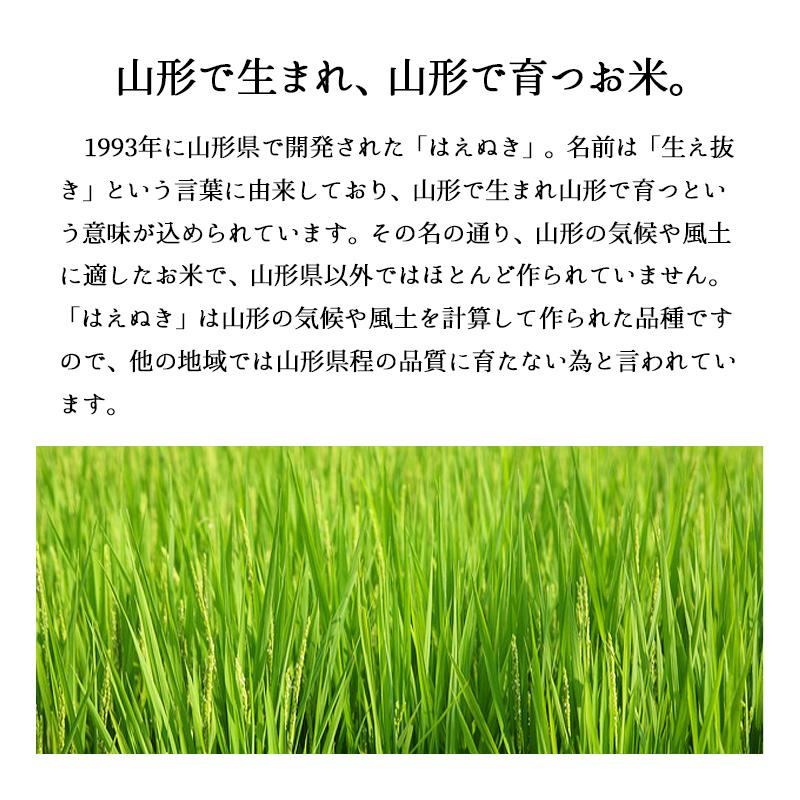 【夏のセール中】山形産 はえぬき お米 20kg 令和7年産 送料無料 沖縄のぞく | はえぬき | 01
