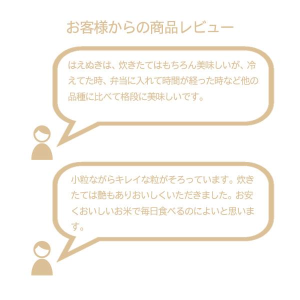 米 5kg 山形産はえぬき お米 5キロ 令和5年産 白米 精米｜echigo-inahoya｜08