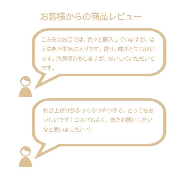 米 5kg 山形産はえぬき お米 5キロ 令和5年産 白米 精米｜echigo-inahoya｜09