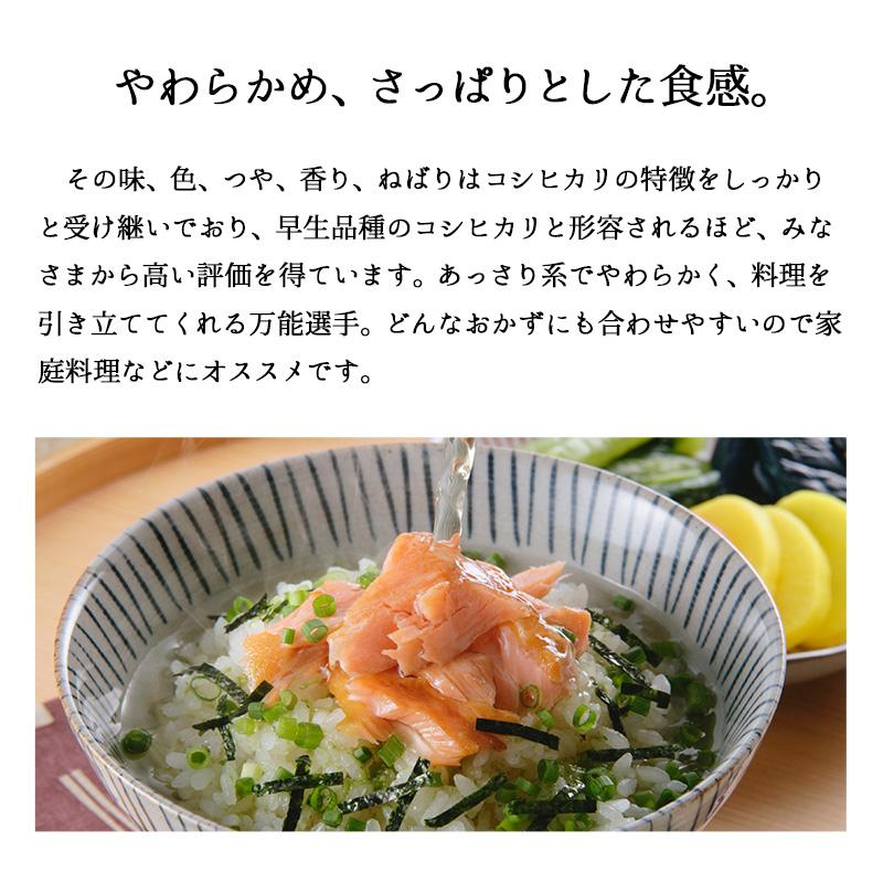 米 10kg 新潟産こしいぶき お米 10キロ 送料無料 令和5年産 白米 精米｜echigo-inahoya｜03