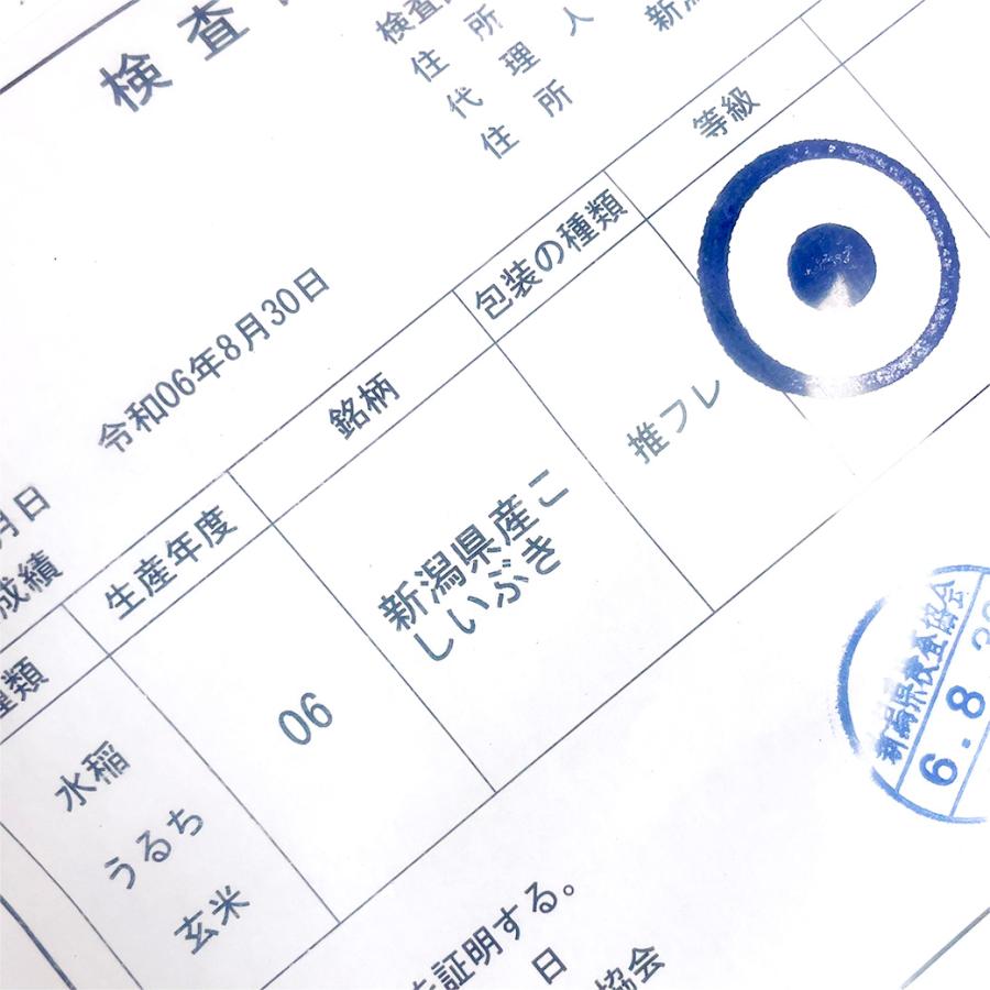 こしいぶき 米 10kg 新潟産こしいぶき お米 10キロ 令和6年産 こしいぶき 米 10kg 新潟産こしいぶき お米 10キロ 令和6年産