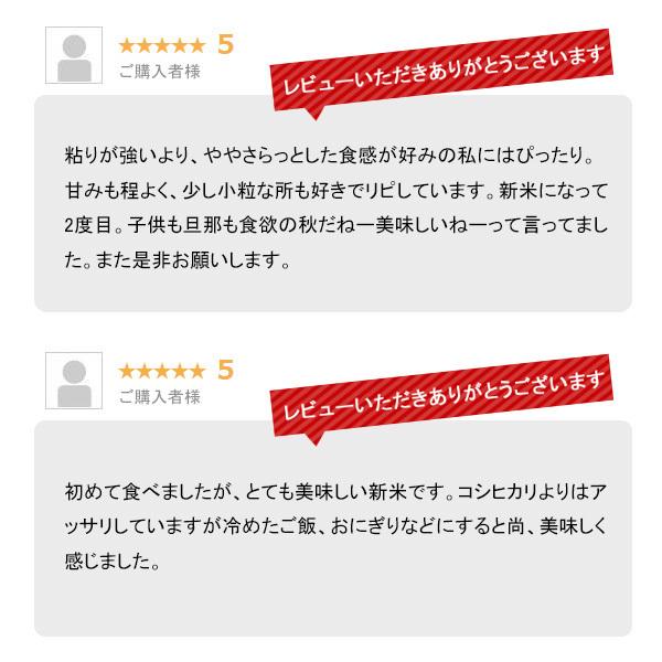 米 10kg 新潟産こしいぶき お米 10キロ 送料無料 令和5年産 白米 精米｜echigo-inahoya｜12