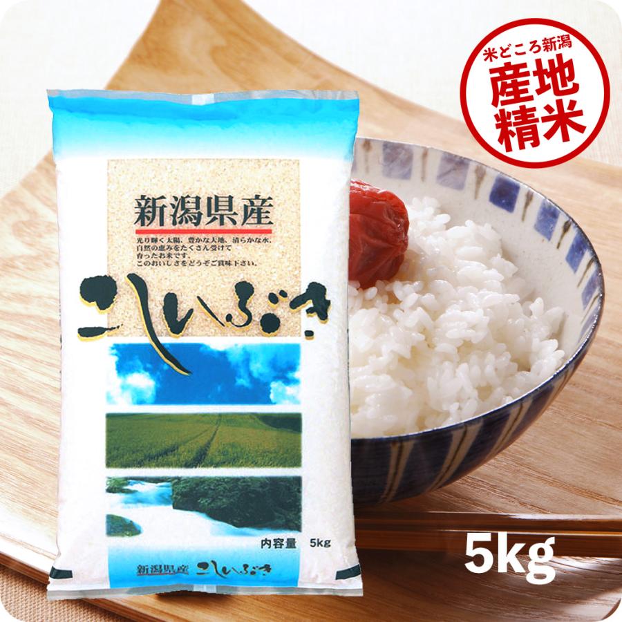 こしいぶき 米 5kg 新潟産こしいぶき お米 5キロ 令和6年産 精米 こしいぶき 米 5kg 新潟産こしいぶき お米 5キロ 令和6年産 精米