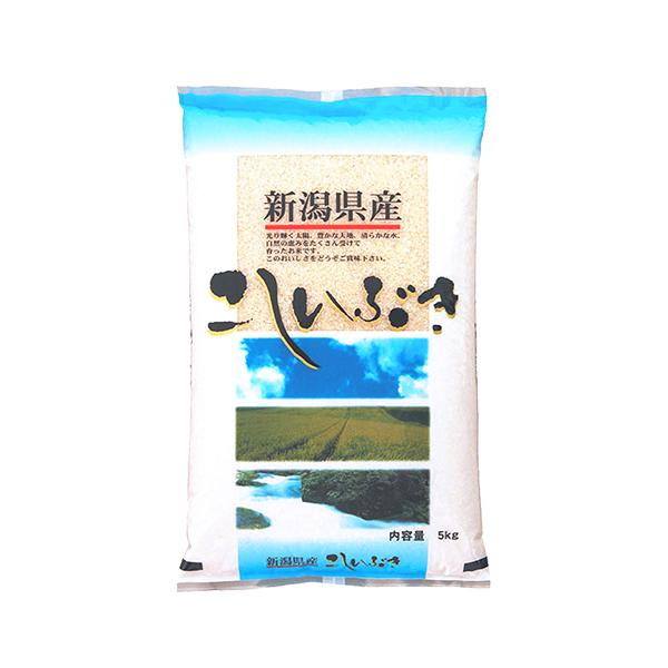 こしいぶき 米 5kg 新潟産こしいぶき お米 5キロ 令和6年産 精米 こしいぶき 米 5kg 新潟産こしいぶき お米 5キロ 令和6年産 精米