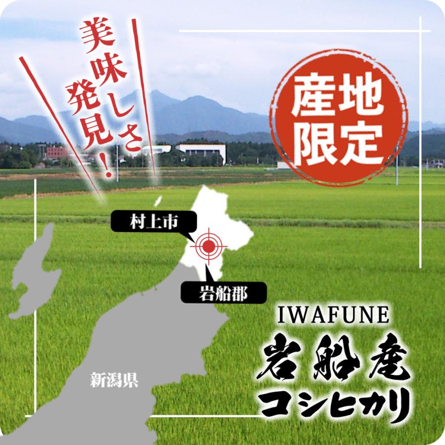 米 10kg 岩船産コシヒカリ お米 10キロ 令和7年産 こしひかり 白米 5kgx2袋 送料無料 沖縄のぞく_4