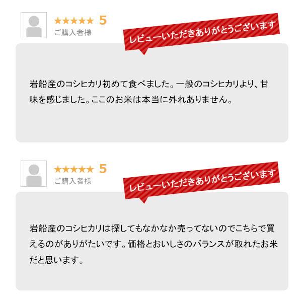 米 10kg 岩船産コシヒカリ お米 10キロ 令和7年産 こしひかり 白米 5kgx2袋 送料無料 沖縄のぞく_10