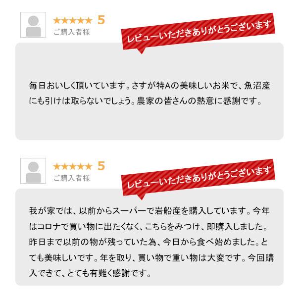 米 10kg 岩船産コシヒカリ お米 10キロ 令和7年産 こしひかり 白米 5kgx2袋 送料無料 沖縄のぞく_12