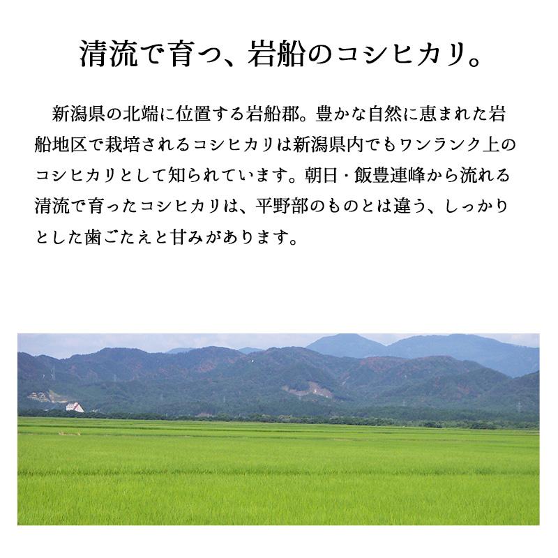 米 10kg 岩船産コシヒカリ お米 10キロ 令和5年産 送料無料 こしひかり 新潟県産 産直 精米 白米 5kgx2袋｜echigo-inahoya｜03