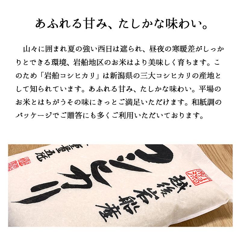 米 10kg 岩船産コシヒカリ お米 10キロ 令和7年産 こしひかり 白米 5kgx2袋 送料無料 沖縄のぞく_2