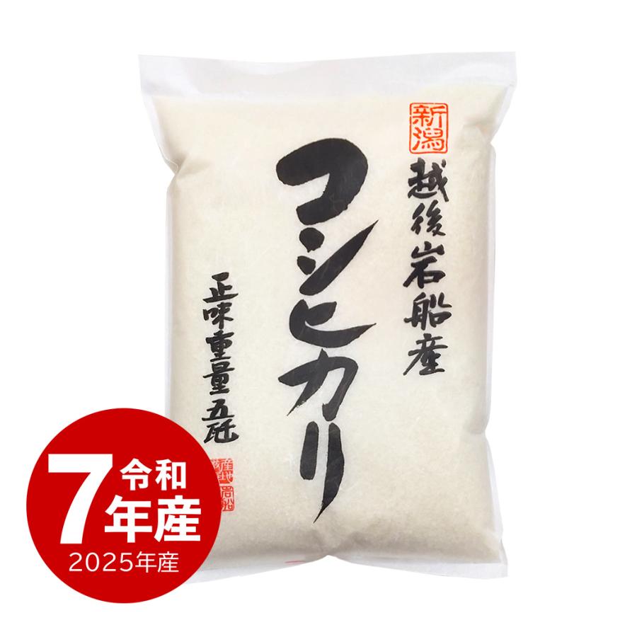 とれたて新米 5kg 岩船産コシヒカリ お米 5キロ 令和6年産 こしひかり  