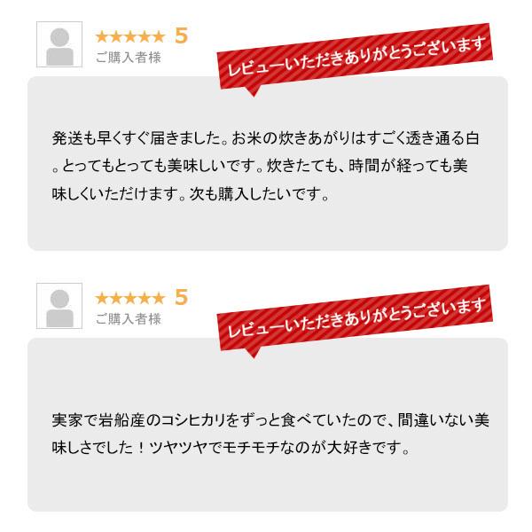 米 5kg 岩船産コシヒカリ お米 5キロ 令和5年産 こしひかり 新潟県産 産直 精米 白米｜echigo-inahoya｜11