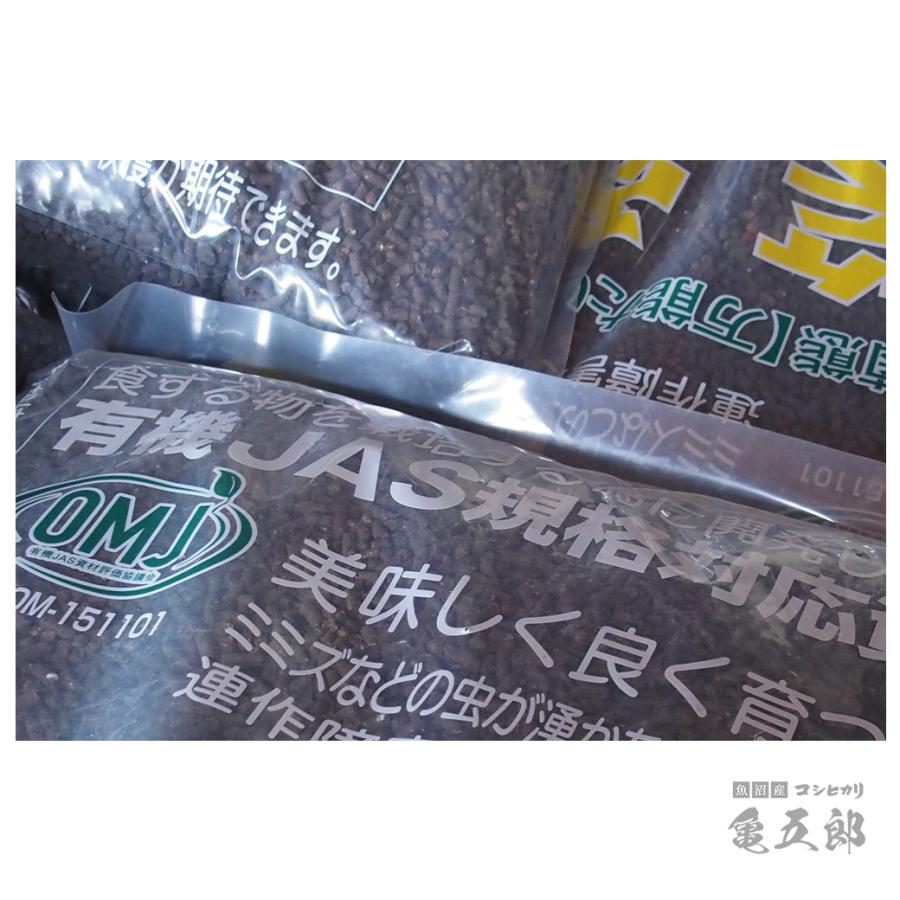 コシヒカリ 【夏のセール中】 亀五郎 魚沼産コシヒカリ お米 10kg 令和