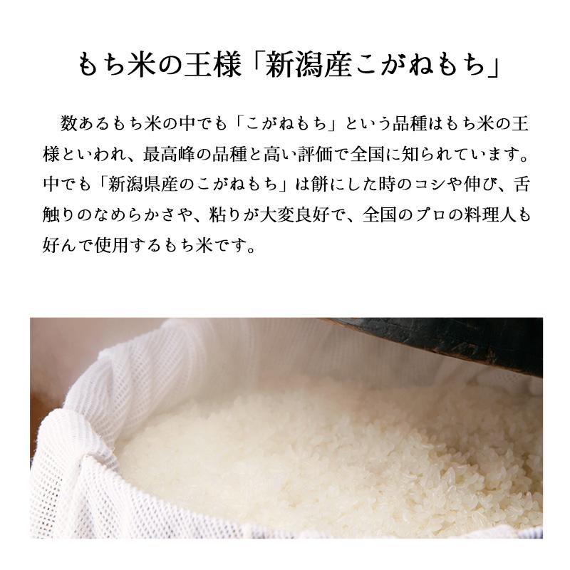 もち米 10kg こがねもち お米 令和5年産 新潟県産 5kg x2袋 送料無料｜echigo-inahoya｜03