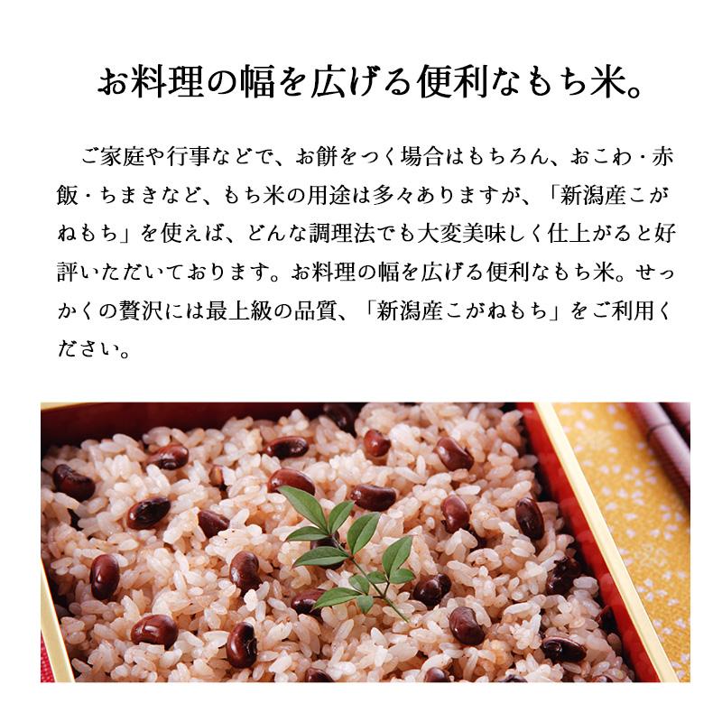 もち米 10kg こがねもち お米 令和5年産 新潟県産 5kg x2袋 送料無料｜echigo-inahoya｜04