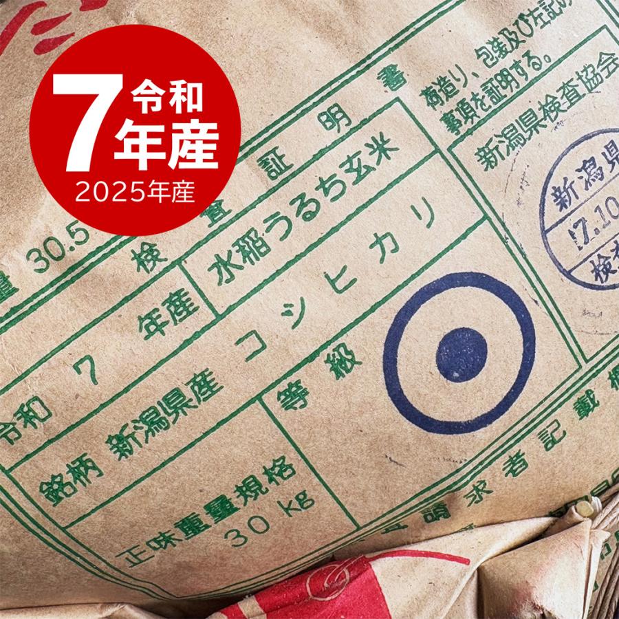 米 新潟産 コシヒカリ 5kg 白米 産地直送 お米 令和7年産 送料無料 沖縄のぞく | コシヒカリ | 03