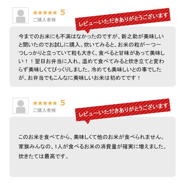 米 10kg 新之助 お米 10キロ 令和5年産 新潟県産 一等米 しんのすけ 送料無料 白米 産直 精米 5kgx2袋｜echigo-inahoya｜14