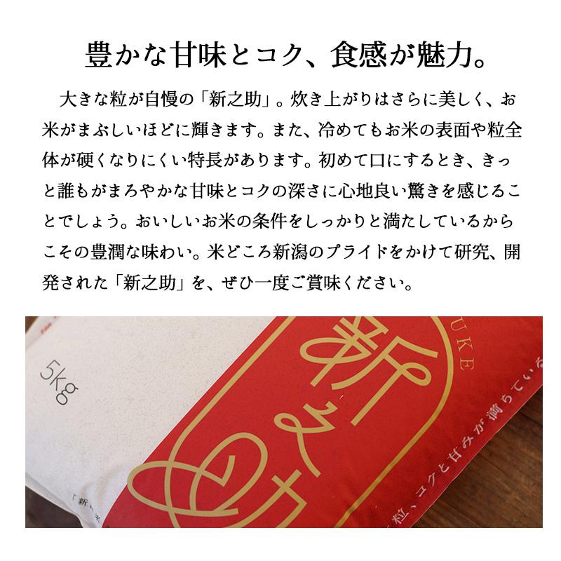 米 10kg 新之助 お米 10キロ 令和5年産 新潟県産 一等米 しんのすけ 送料無料 白米 産直 精米 5kgx2袋｜echigo-inahoya｜05