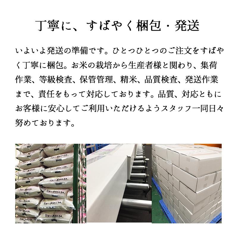 米 10kg 新之助 お米 10キロ 令和5年産 新潟県産 しんのすけ 一等米 地元新潟から 安心の産地直送 送料無料 白米 精米 5kgx2袋｜echigo-inahoya｜20