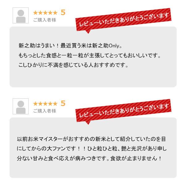 米 新之助 お米 15kg 令和7年産 新潟県産 一等米 送料無料 沖縄のぞく_12