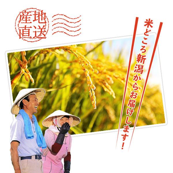 米 15kg 新之助 お米 15キロ 令和5年産 新潟県産 一等米 しんのすけ 送料無料 白米 産直 精米 5kgx3袋｜echigo-inahoya｜09