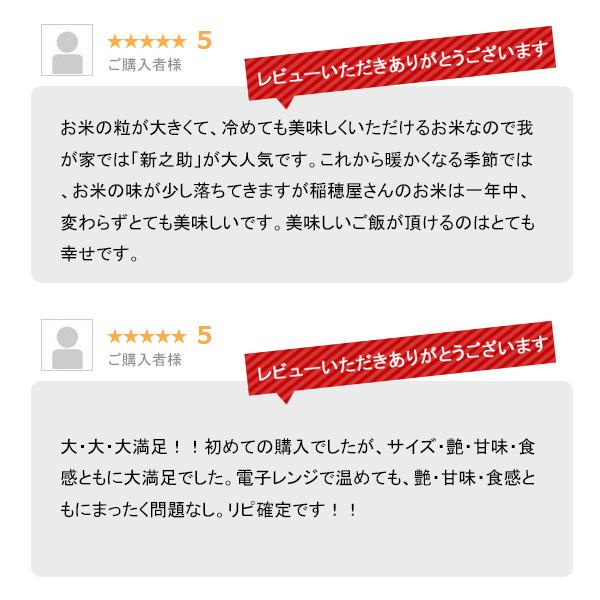 米 2kg 新之助 お米 ２キロ 一等米 新潟県産 しんのすけ 令和5年産 白米 産直 精米｜echigo-inahoya｜11