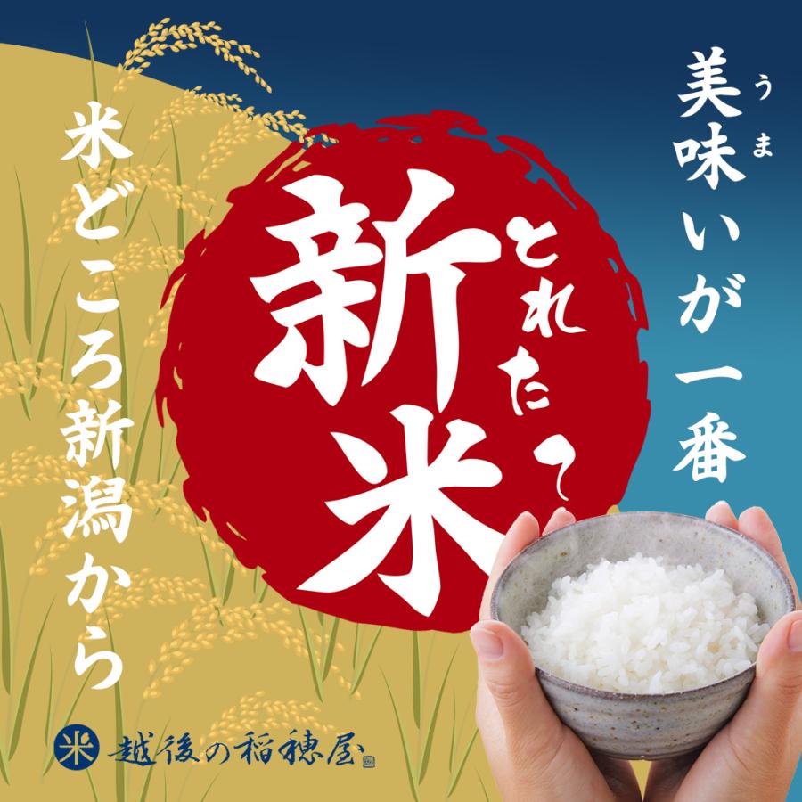 新之助 新米 令和7年産 お米 5kg 新潟県産 一等米 送料無料 沖縄