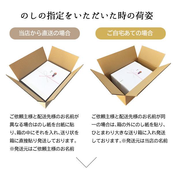 バースデー 記念日 ギフト 贈物 お勧め 通販 米 10kg コシヒカリ 新潟県産 お米 送料無料 令和２年産 白米 産直 5kg 2袋 精米