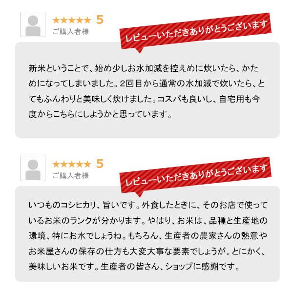 米 10kg 新潟県産コシヒカリ お米 10キロ 白米 送料無料 令和5年産 こしひかり 産直 精米 5kgx2袋｜echigo-inahoya｜07