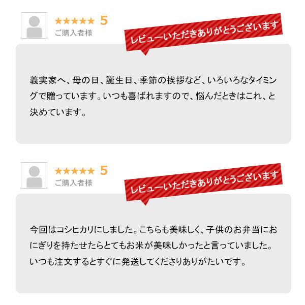 米 10kg 新潟県産コシヒカリ お米 10キロ 白米 送料無料 令和5年産 こしひかり 産直 精米 5kgx2袋｜echigo-inahoya｜08