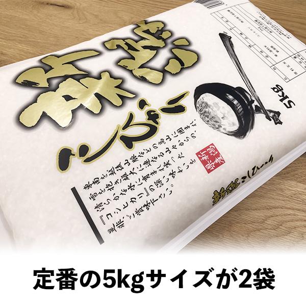 コシヒカリ 米 10kg 新潟県産コシヒカリ お米 10キロ 白米 令和6 コシヒカリ 米 10kg 新潟県産コシヒカリ お米 10キロ 白米 令和6