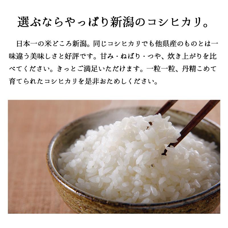 米 10kg 新潟県産コシヒカリ お米 10キロ 白米 送料無料 令和5年産 こしひかり 産直 精米 5kgx2袋｜echigo-inahoya｜04