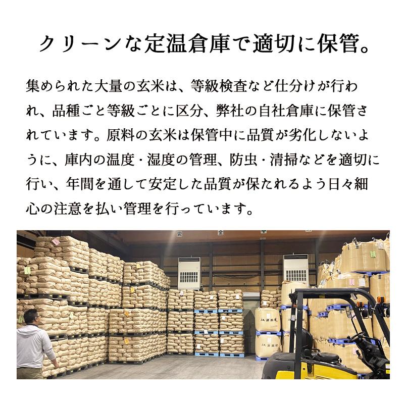 コシヒカリ 米 15kg 新潟県産コシヒカリ お米 15キロ 白米 令和6 コシヒカリ 米 15kg 新潟県産コシヒカリ お米 15キロ 白米 令和6