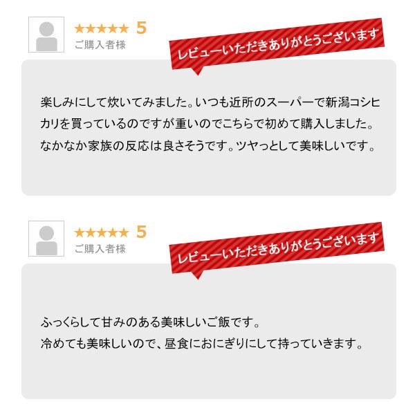 コシヒカリ 米 15kg 新潟県産コシヒカリ お米 15キロ 白米 令和6 コシヒカリ 米 15kg 新潟県産コシヒカリ お米 15キロ 白米 令和6