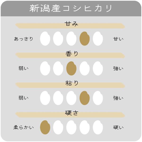 コシヒカリ 米 15kg 新潟県産コシヒカリ お米 15キロ 白米 令和6 コシヒカリ 米 15kg 新潟県産コシヒカリ お米 15キロ 白米 令和6