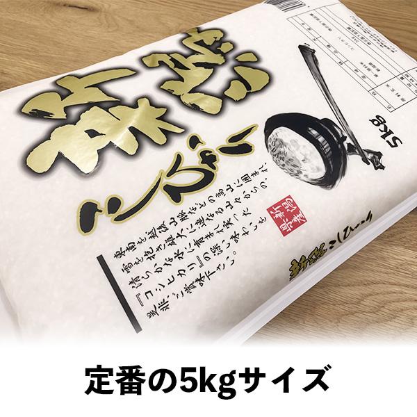 コシヒカリ 米 20kg 新潟県産コシヒカリ お米 20キロ 白米 令和6 コシヒカリ 米 20kg 新潟県産コシヒカリ お米 20キロ 白米 令和6