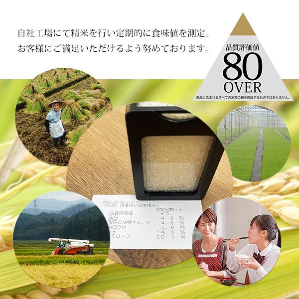 コシヒカリ 米 20kg 新潟県産コシヒカリ お米 20キロ 白米 令和6 コシヒカリ 米 20kg 新潟県産コシヒカリ お米 20キロ 白米 令和6