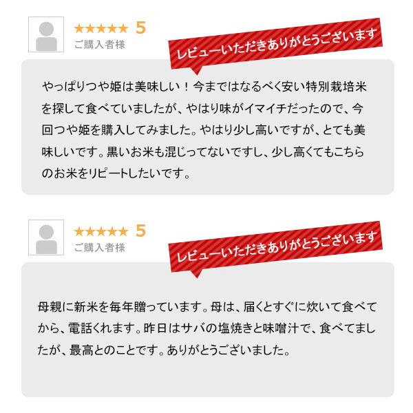 米 10kg つや姫 お米 山形県産 10キロ 送料無料 特A 令和5年産 精米 白米 5kgx2袋｜echigo-inahoya｜10