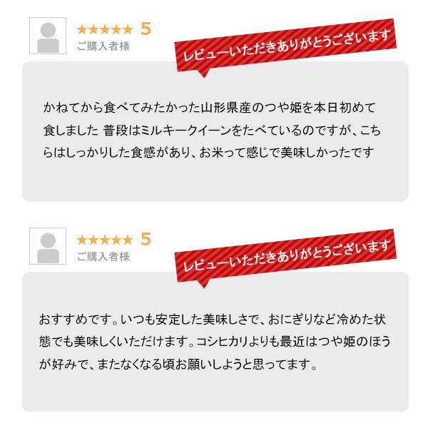 つや姫 米 10kg お米 山形県産 10キロ 令和6年産 特A 精米 白米 5kgx2 