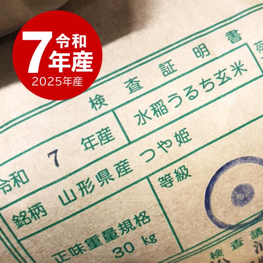 つや姫 新米 令和7年産 お米 10kg 山形産 送料無料 沖縄のぞく