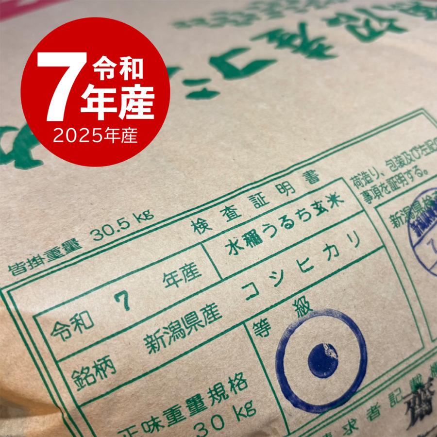 コシヒカリ 【夏のセール中】 魚沼産コシヒカリ 10kg 白米 産地直送 お