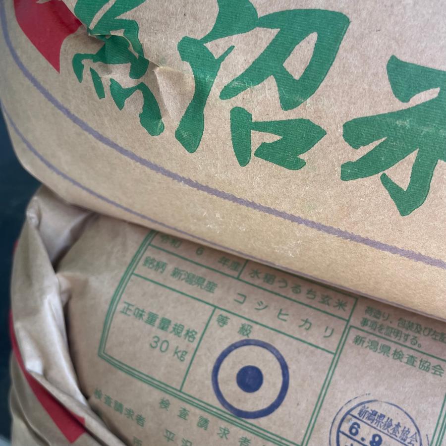 コシヒカリ 米 20kg 魚沼産コシヒカリ お米 20キロ 令和6年産 特 コシヒカリ 米 20kg 魚沼産コシヒカリ お米 20キロ 令和6年産 特