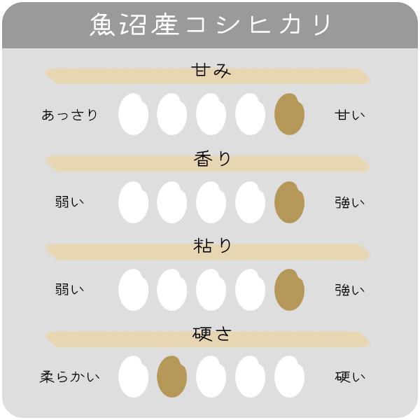 米 5kg 魚沼産コシヒカリ お米 5キロ 令和5年産 特A こしひかり 送料無料 白米 産直 精米｜echigo-inahoya｜10