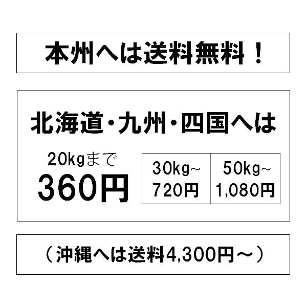 令和3年産 新米 10kg コシヒカリ 山形県産 お米 10kg 送料無料 精米 白米 5kg 2袋 越後の稲穂屋 Paypayモール店 通販 Paypayモール