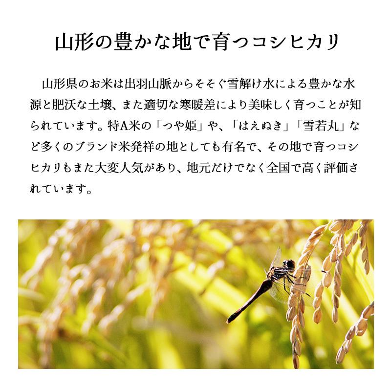 コシヒカリ 米 15kg 山形産コシヒカリ お米 15キロ 令和6年産 コシヒカリ 米 15kg 山形産コシヒカリ お米 15キロ 令和6年産