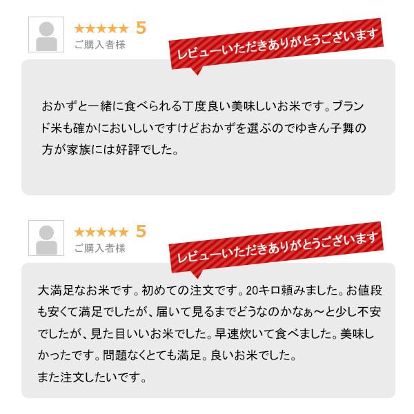 蔵出しセール価格】米 10kg ゆきん子舞 お米 10キロ 令和6年産