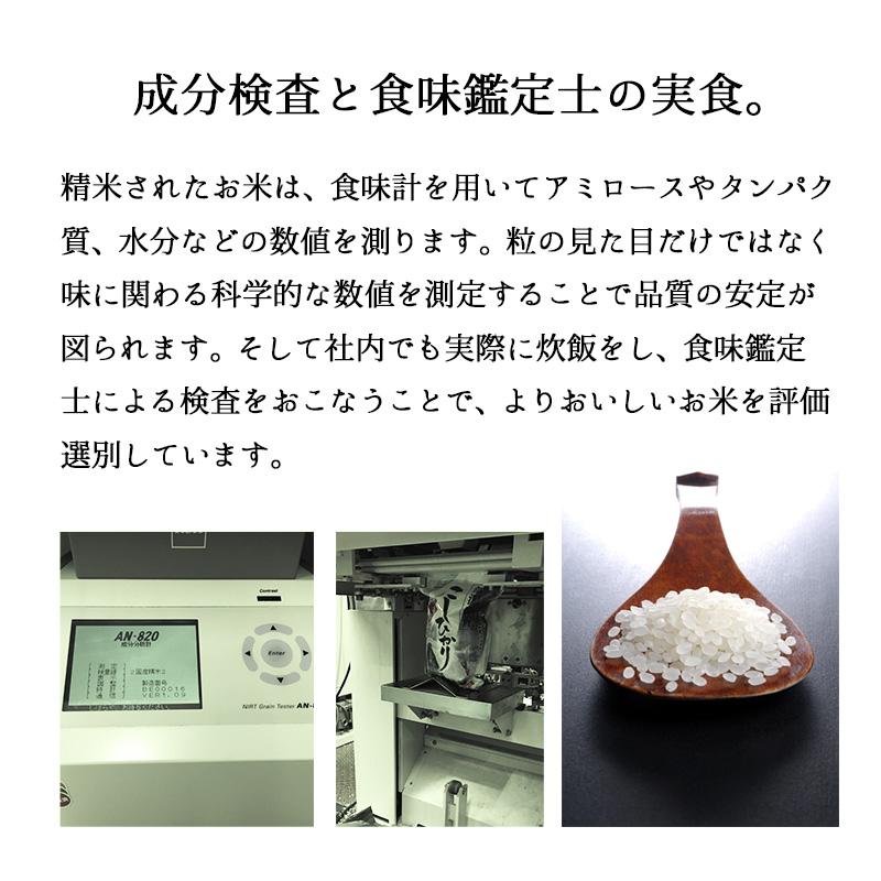 米 10kg 雪若丸 お米 山形県 庄内 置賜 ゆきわかまる 送料無料 令和5年産 白米 精米 10キロ｜echigo-inahoya｜17